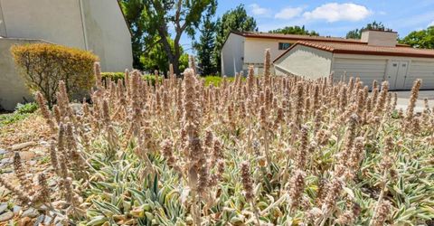 4848 El Cemonte Ave #5, Unit 5, Davis, CA 95618 Photo