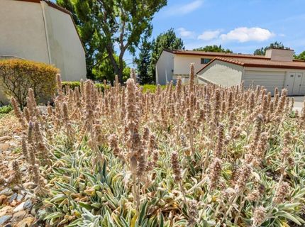 4848 El Cemonte Ave #5, Unit 5, Davis, CA 95618 Photo
