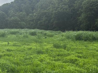 687 H M Garrison Rd Road, Manchester, KY 40962
