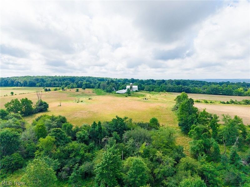 7785 Jewell Grenville Road, Kinsman, OH 44428 Photo 47