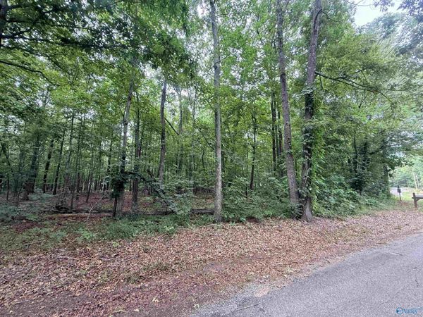 001 County Road 667, Cedar Bluff, AL 35959