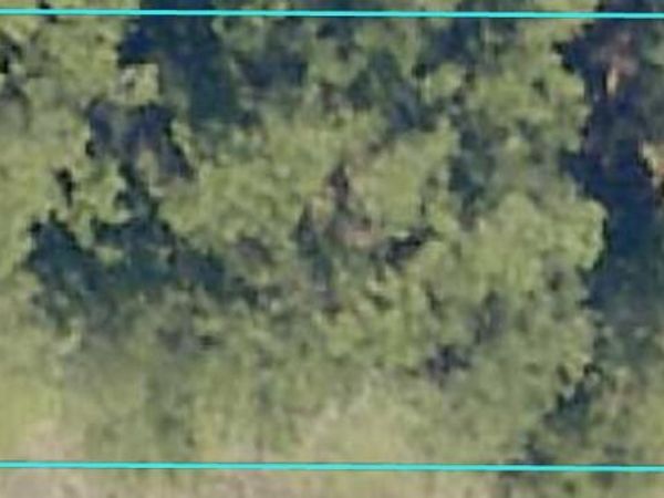TBD Kervin Road, Crestview, FL 32539