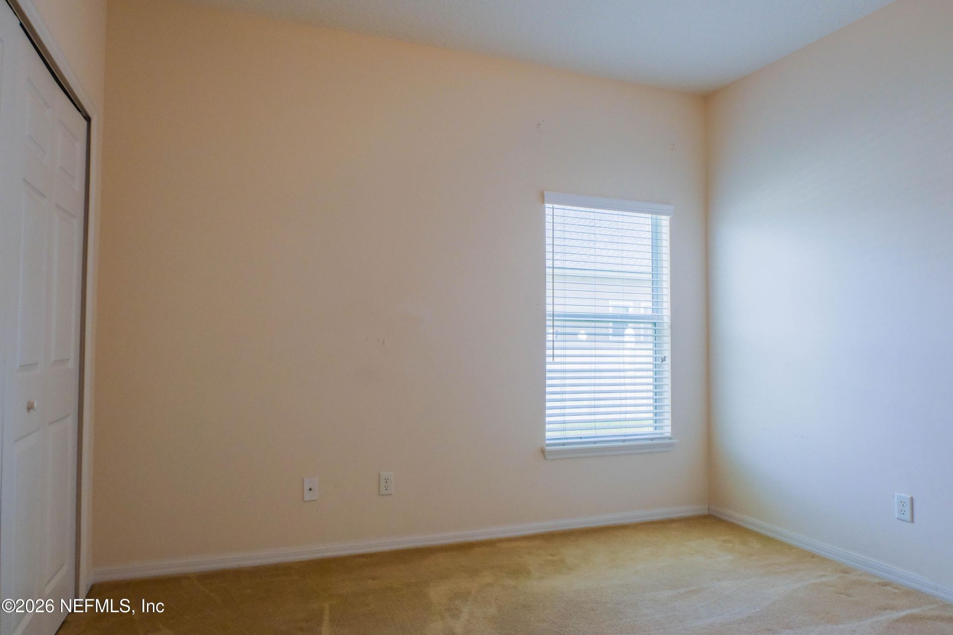 1564 Tralee Court N, Jacksonville, FL 32221 Photo