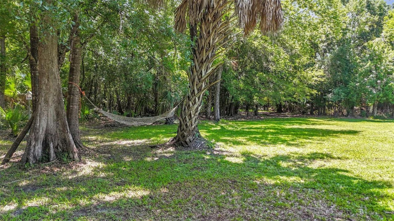 273 Griffin Road , Wauchula, FL 33873 Photo
