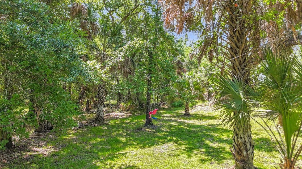 273 Griffin Road , Wauchula, FL 33873 Photo