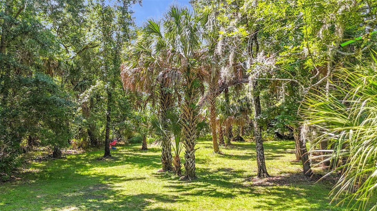 273 Griffin Road , Wauchula, FL 33873 Photo