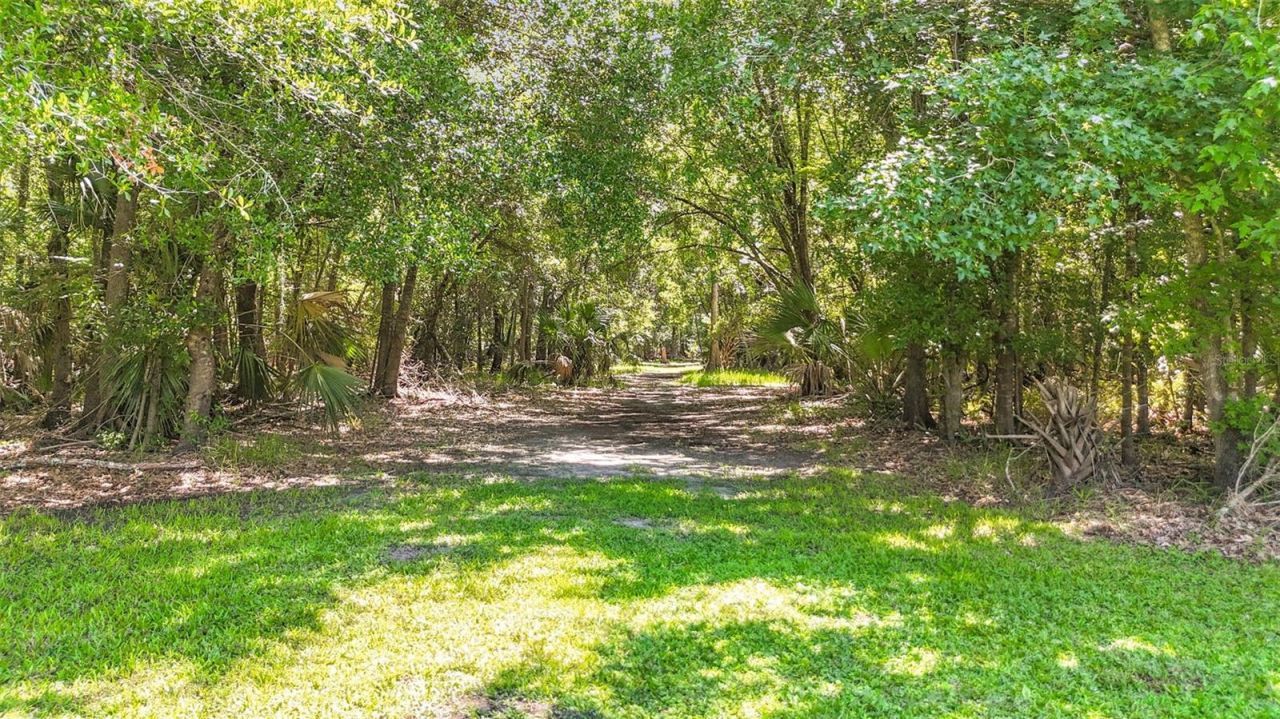 273 Griffin Road , Wauchula, FL 33873 Photo