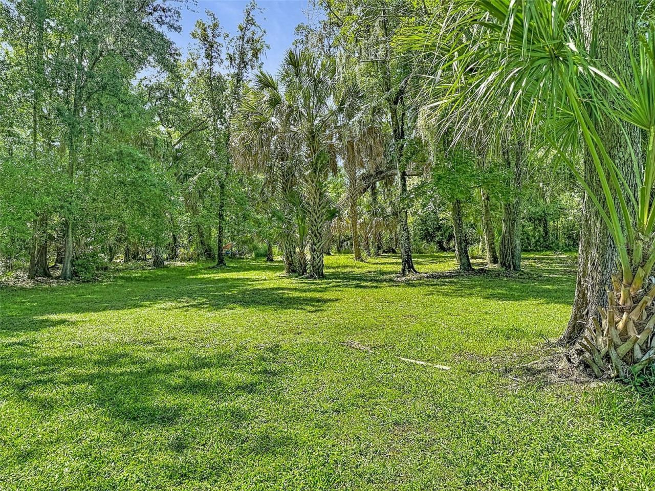 273 Griffin Road , Wauchula, FL 33873 Photo