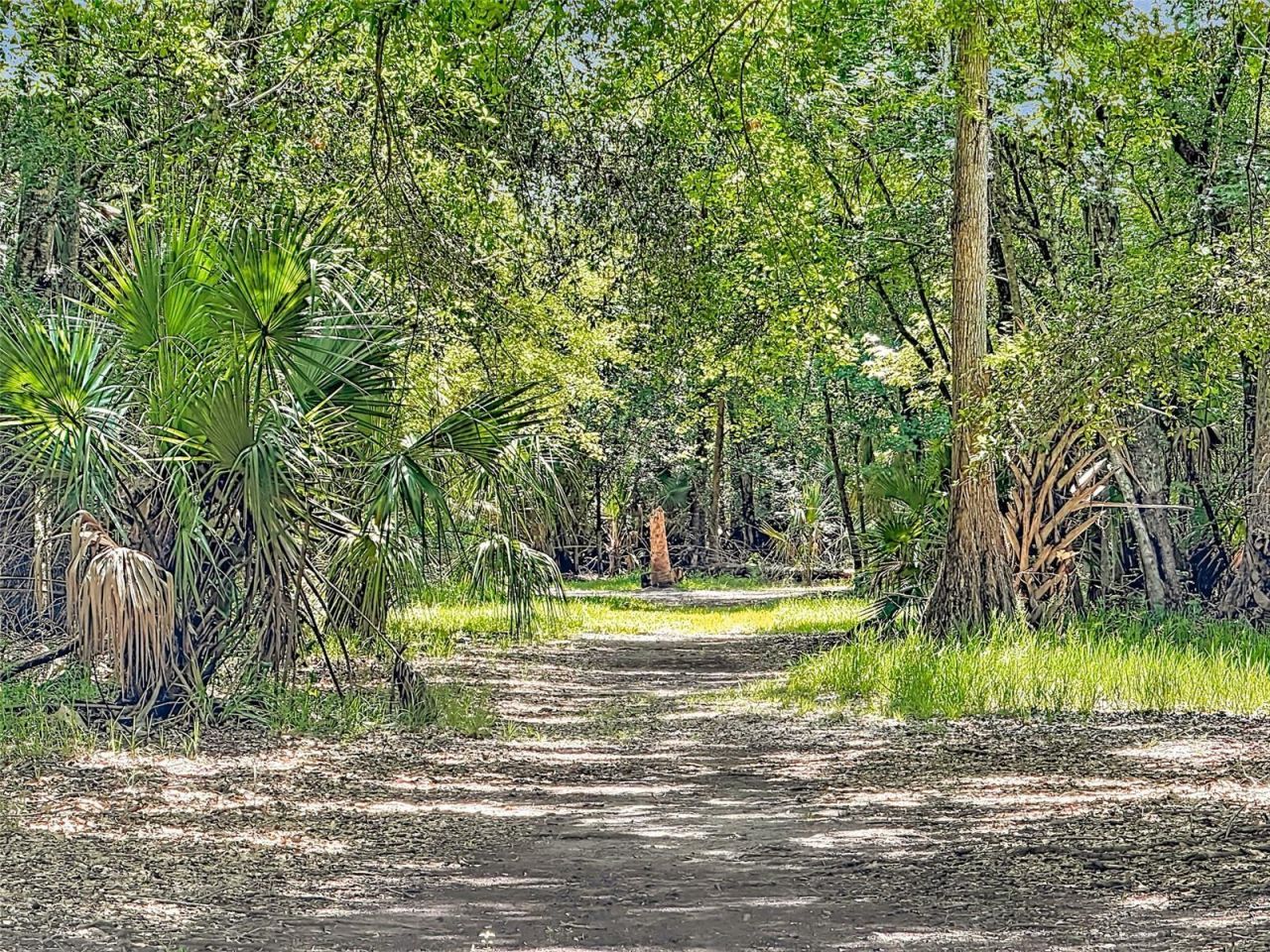 273 Griffin Road , Wauchula, FL 33873 Photo