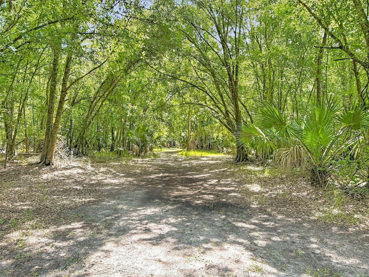 273 Griffin Road , Wauchula, FL 33873 Photo