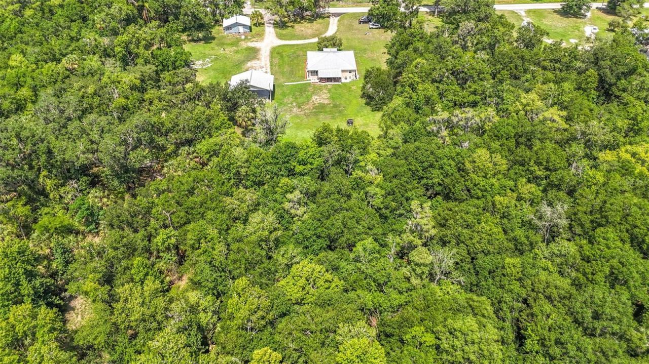273 Griffin Road , Wauchula, FL 33873 Photo