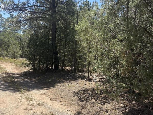 31 Armin Road , Tijeras, NM 87059