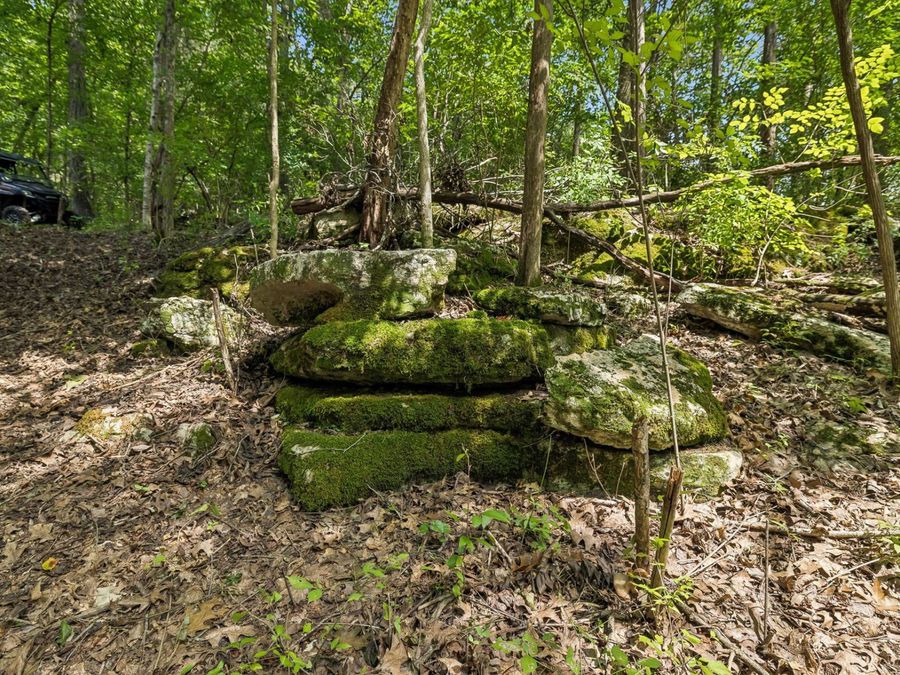 Property Image 67
