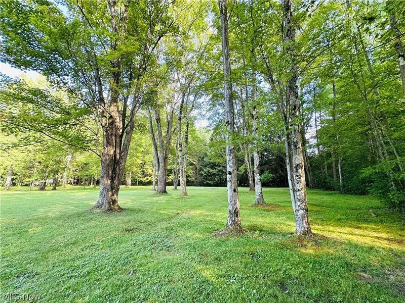 1094 Portage Easterly Road, Cortland, OH 44410 Photo 3