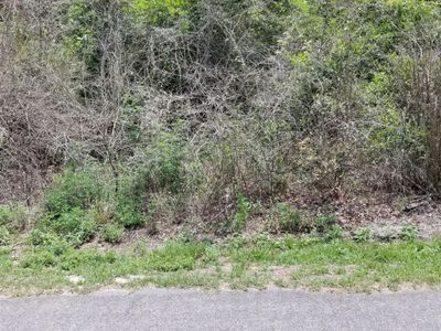 0 Savage Street, Walterboro, SC 29488