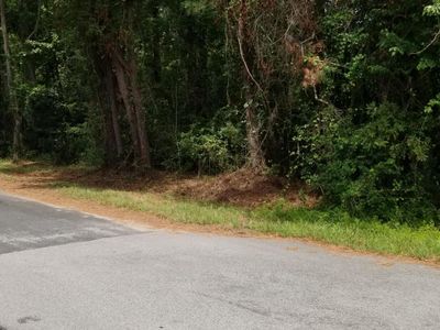 308 Mcdaniel Street, Walterboro, SC 29488