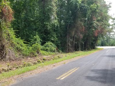 0 Pine Needle Road, Walterboro, SC 29488