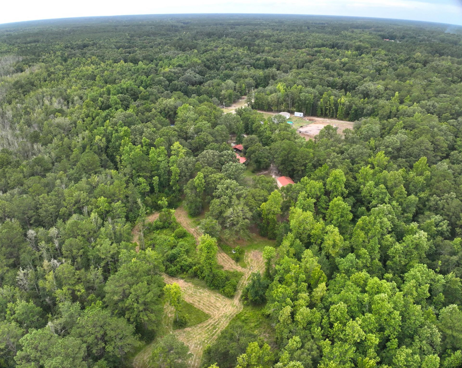 349 Bird Dog Lane Photo 41