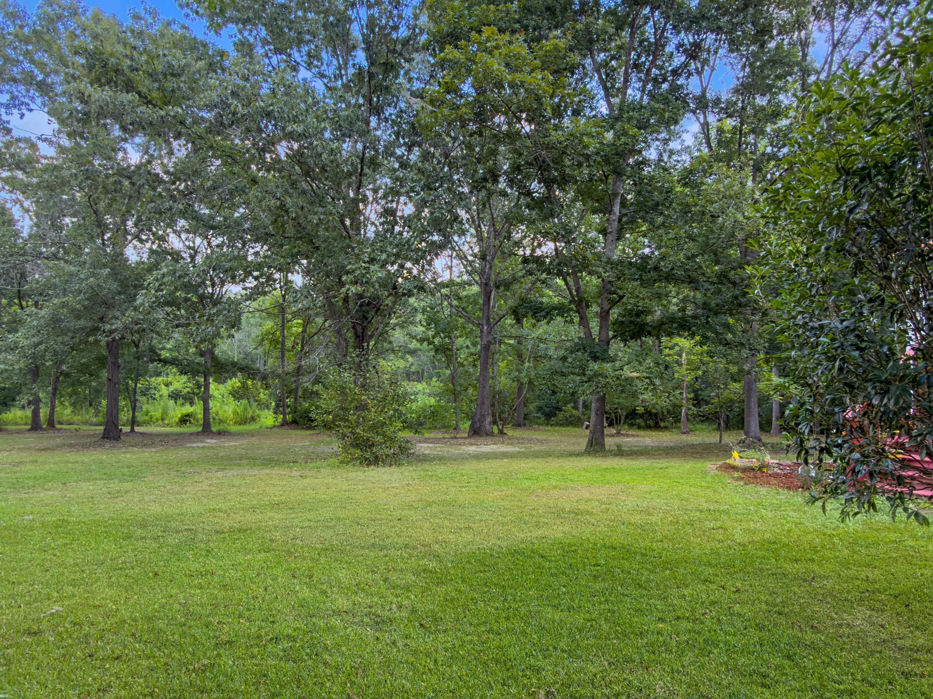 349 Bird Dog Lane Photo 43