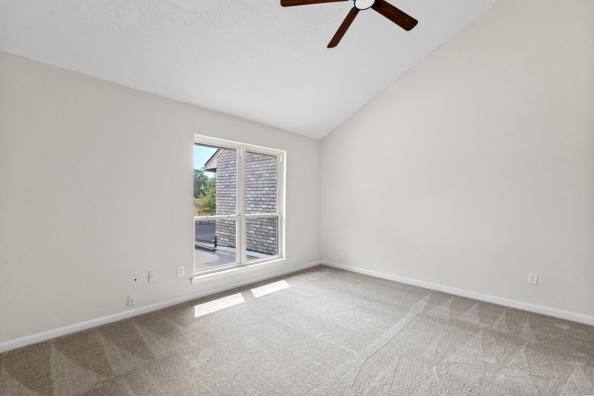 6 Brighton Circle Photo 20
