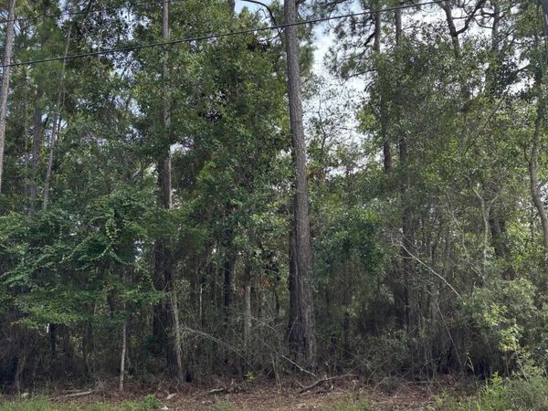 2104 Peach Street, Ocean Springs, MS 39564