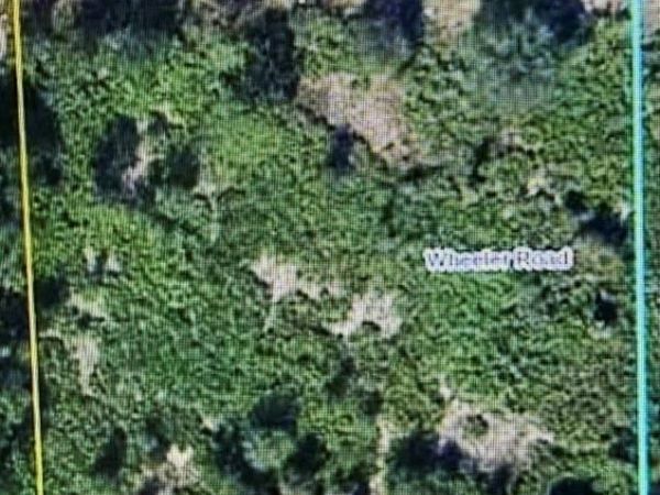 7587 20th TER , LABELLE, FL 33935