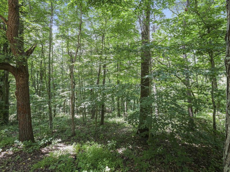 19475 Linden Lane , Logan, OH 43138 Photo 77