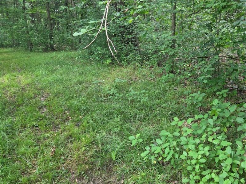 4146 New Hudson Road, Orwell, OH 44076 Photo 38