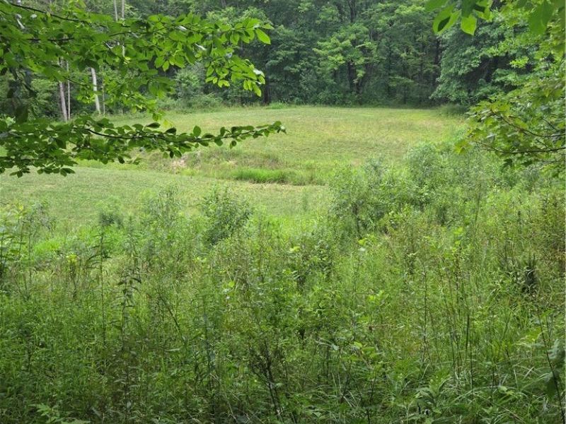 4146 New Hudson Road, Orwell, OH 44076 Photo 39
