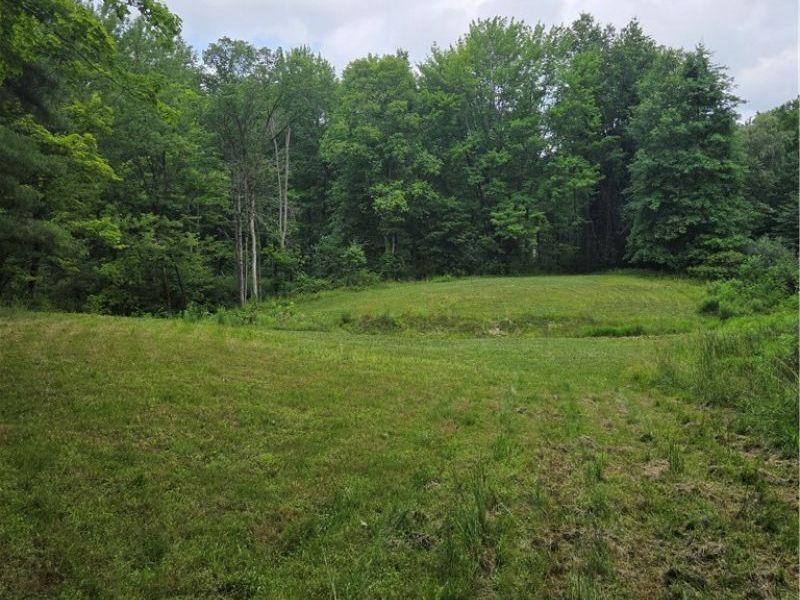 4146 New Hudson Road, Orwell, OH 44076 Photo 40