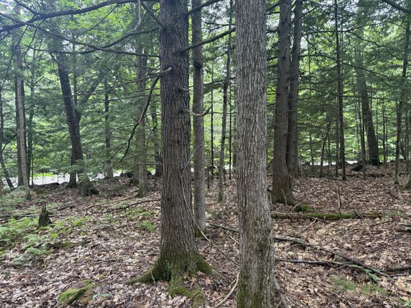 R1 L10A Hovey Road , Farmington, ME 04938