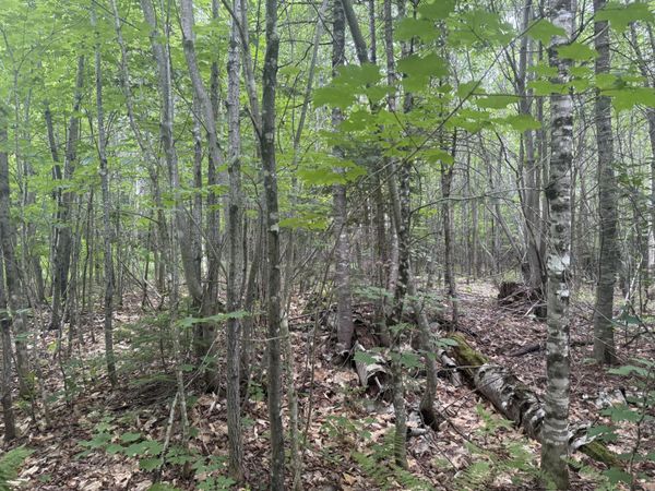 R1 L12 Hovey Road , Farmington, ME 04938