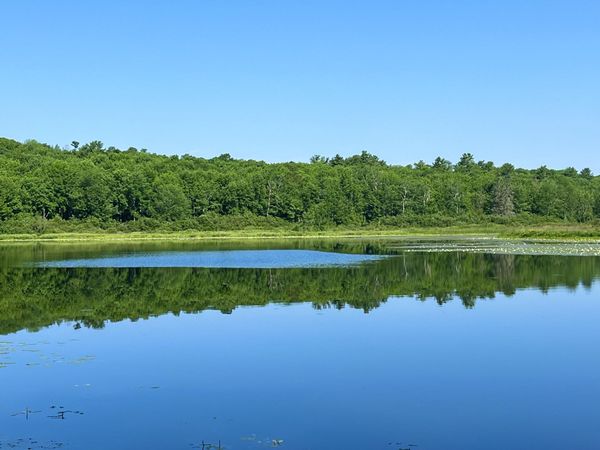 00LowerFal Lower Falls Road , Orland, ME 04472
