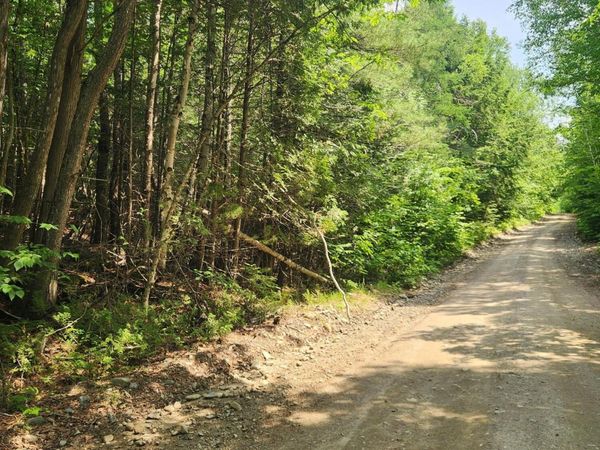 Lot #44 Mill Hill Road, Springfield, ME 04487