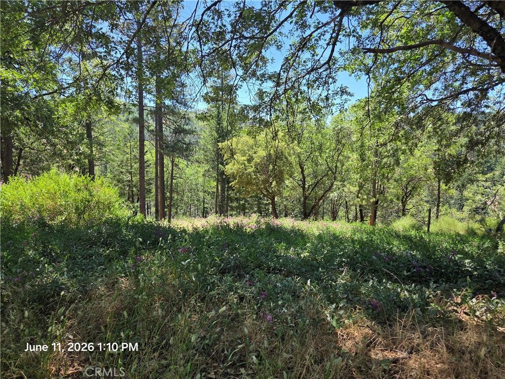 10481 Sycamore, Loch Lomond, CA 95461 Main Photo