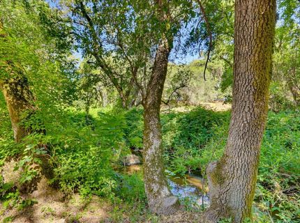 4900 Lorin Ct, Auburn, CA 95602 Photo