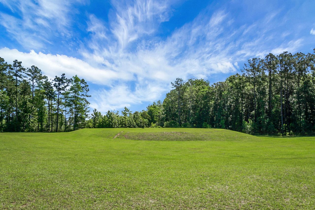 658 Black Pine Road Photo 50