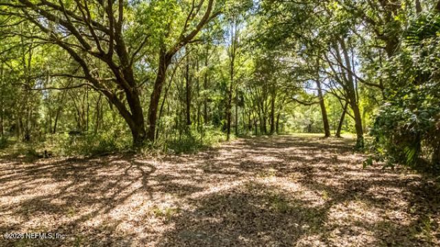 0 Mustang Haven Lane, Jacksonville, FL 32226 Photo