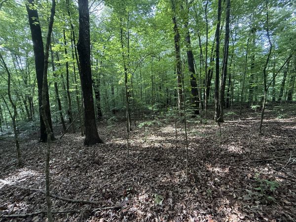 0 Caney Creek Rd , Unit 14, Stewart, TN 37175