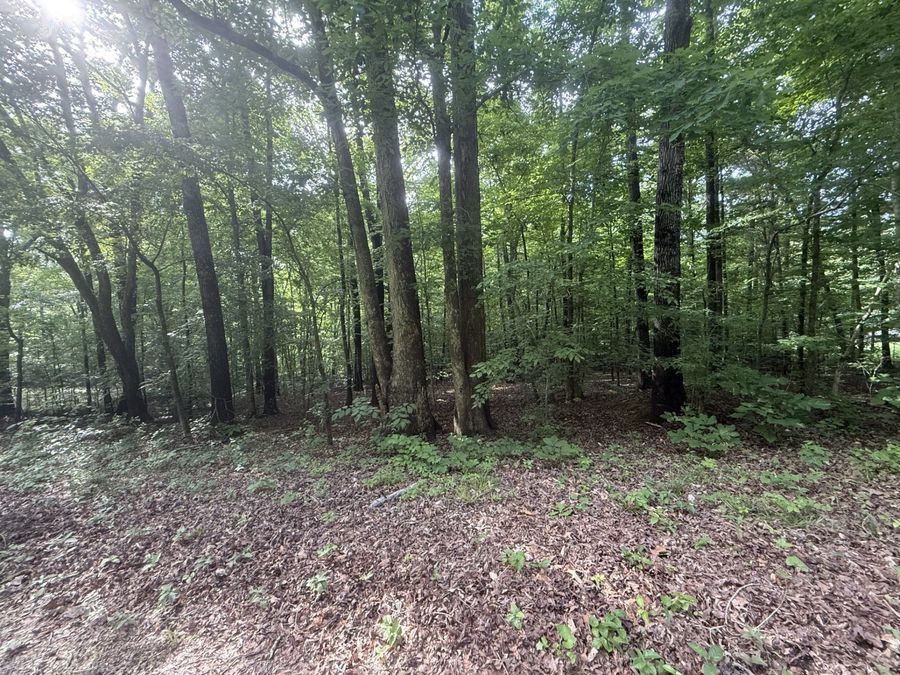 Property Image 24