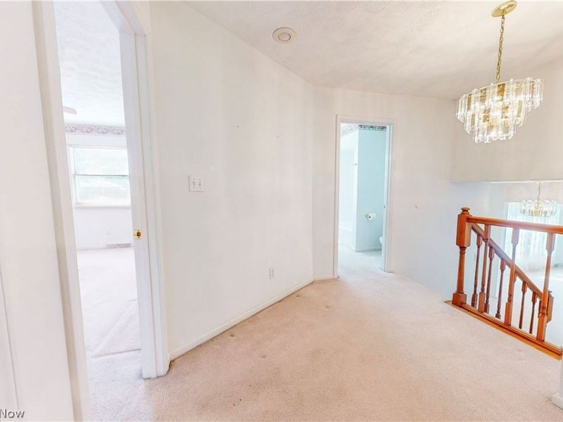800 Labelle Street, Brilliant, OH 43910 Photo 23