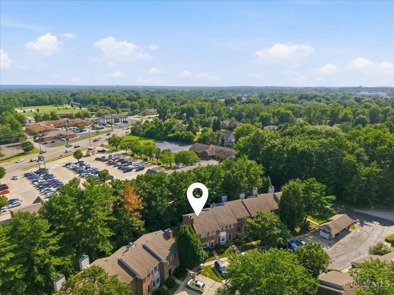 9160 Dominion Circle, Symmes Township, OH 45249 Photo 45
