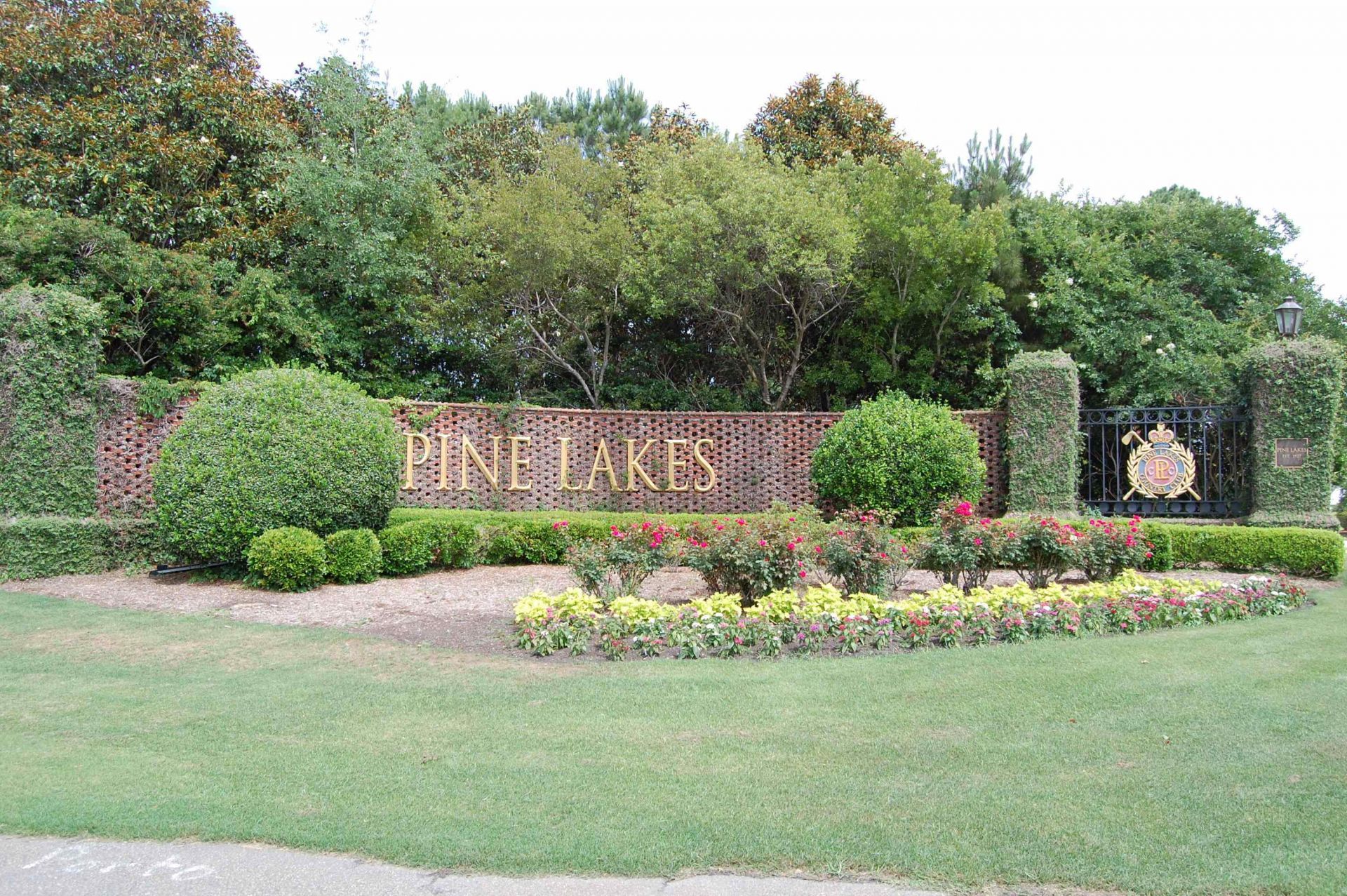 5858 Whitebark Dr.  Photo 48