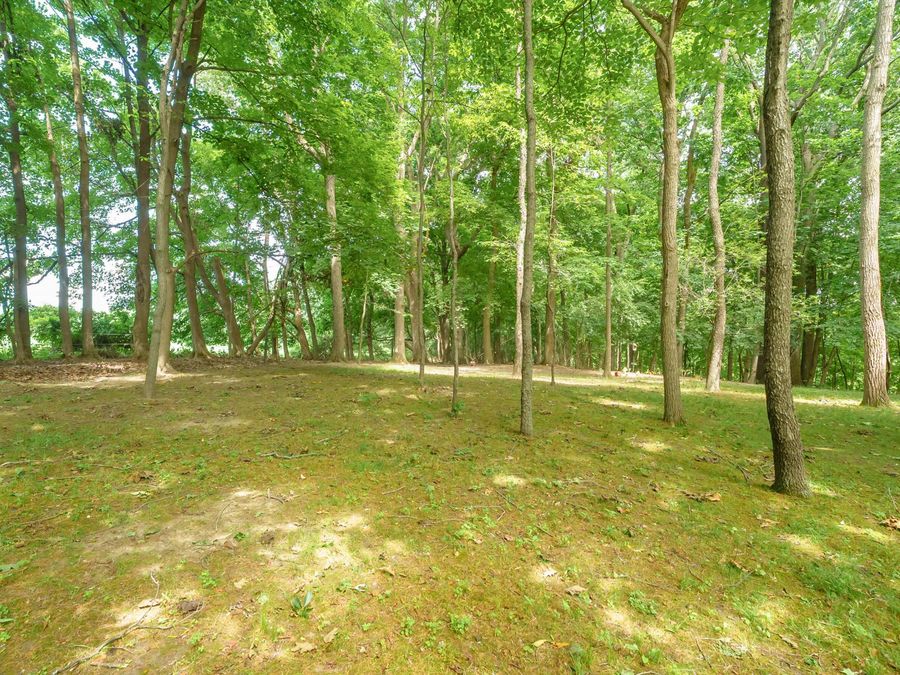 Property Image 68