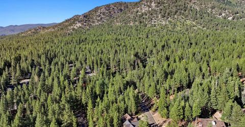 2334 Cold Creek Trail, South Lake Tahoe, CA 96150 Photo