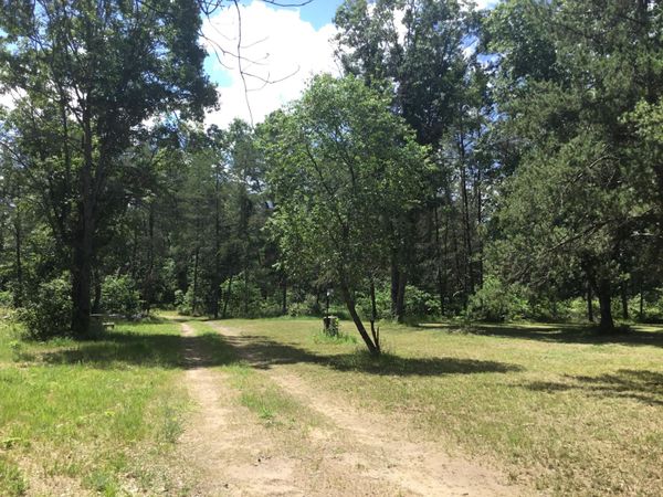 2597 E Gladys Street, Idlewild, MI 49642