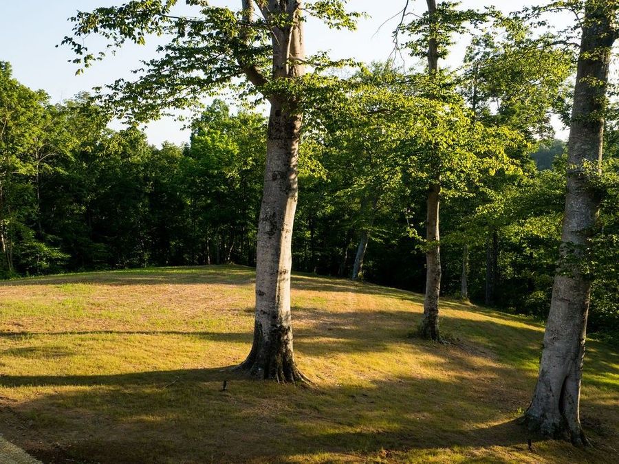 Property Image 63