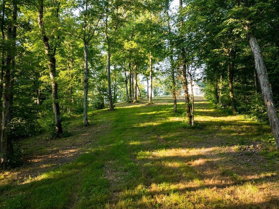 Property Image 64