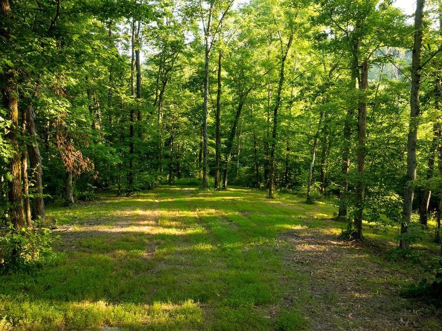 Property Image 65