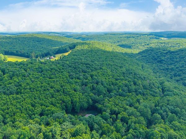 MENDENHALL HILL Road, Benton, PA 17814